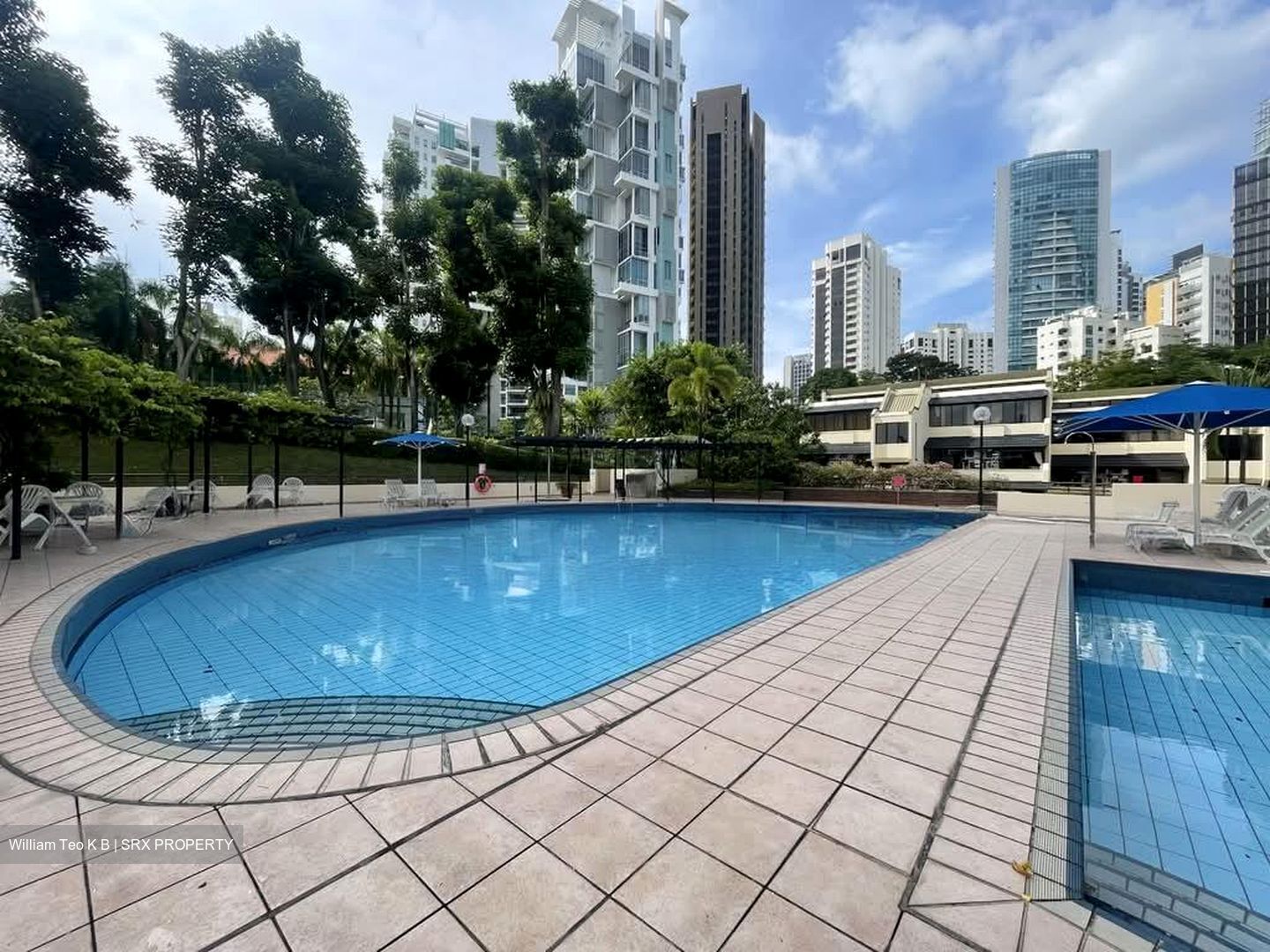 The Draycott (D10), Apartment #532478811
